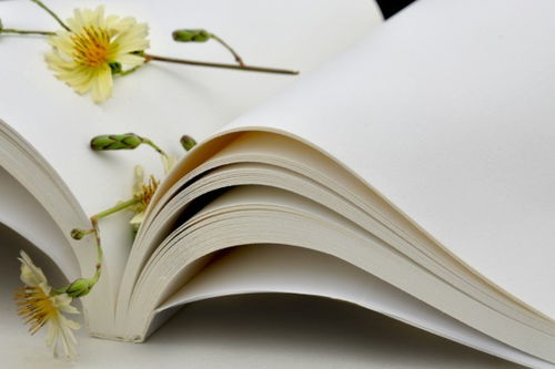 文藝視角下的長征精神學習心得